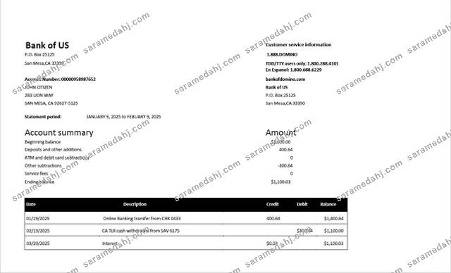 USA Bank of US account statement Word and PDF template